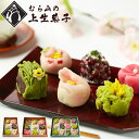 敬老の日 手作り 上生菓子 ギフト 練り切り むら山の宝箱 生和菓子 誕生日 高級 こだわり のし 手造り お土産 スィーツ 贈り物 季節の詰め合わせ お中元 スイーツ 老舗 贈物 和スイーツ 個包装 かわいい お茶菓子