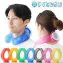 アイシングU 冷却 冷凍可能 暑さ対策 甲子園 ひんやり レッド ブルー イエロー ブラック グリーン ローズピンク オレンジ パープル スカイブルー(2025年限定色)