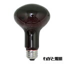 アサヒ　レフランプ　耐熱透明カラー（内面フロストタイプ）　60W　E26口金　レッド（赤色）　R80 E26 110V-60W(RT)