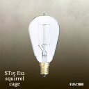 ★ ミニエジソンバルブ（エジソン電球） ナス球形 ST15 E12 110V 25W Squirrel cage ST15 E12 110V 25W SC ≪あす楽対応商品≫