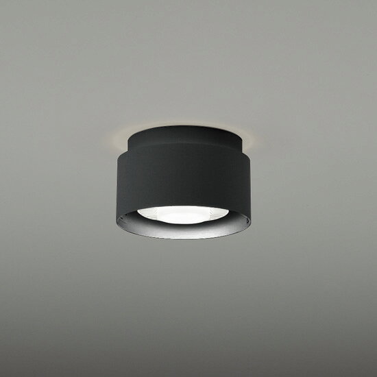 ENDO　LEDシーリングライト　LEDZランプディスク75用　白熱電球50W形相当　ERG5080B（ランプ別売）