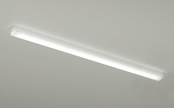 ENDO　LEDベースライト　反射笠なし器具　トラフ　1灯用　直付形　FLR110W×2灯相当　ERK9560W（ランプ別売）