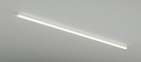 ENDO　LED軒下用ベースライト　トラフ形　1灯用　防雨形　FLR110W相当　ERK9836WA（ランプ別売）