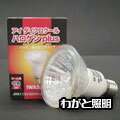 岩崎　ダイクロクールハロゲンplus　E17口金　50W　広角　　JDR110V50WUV/WK/H2/E17