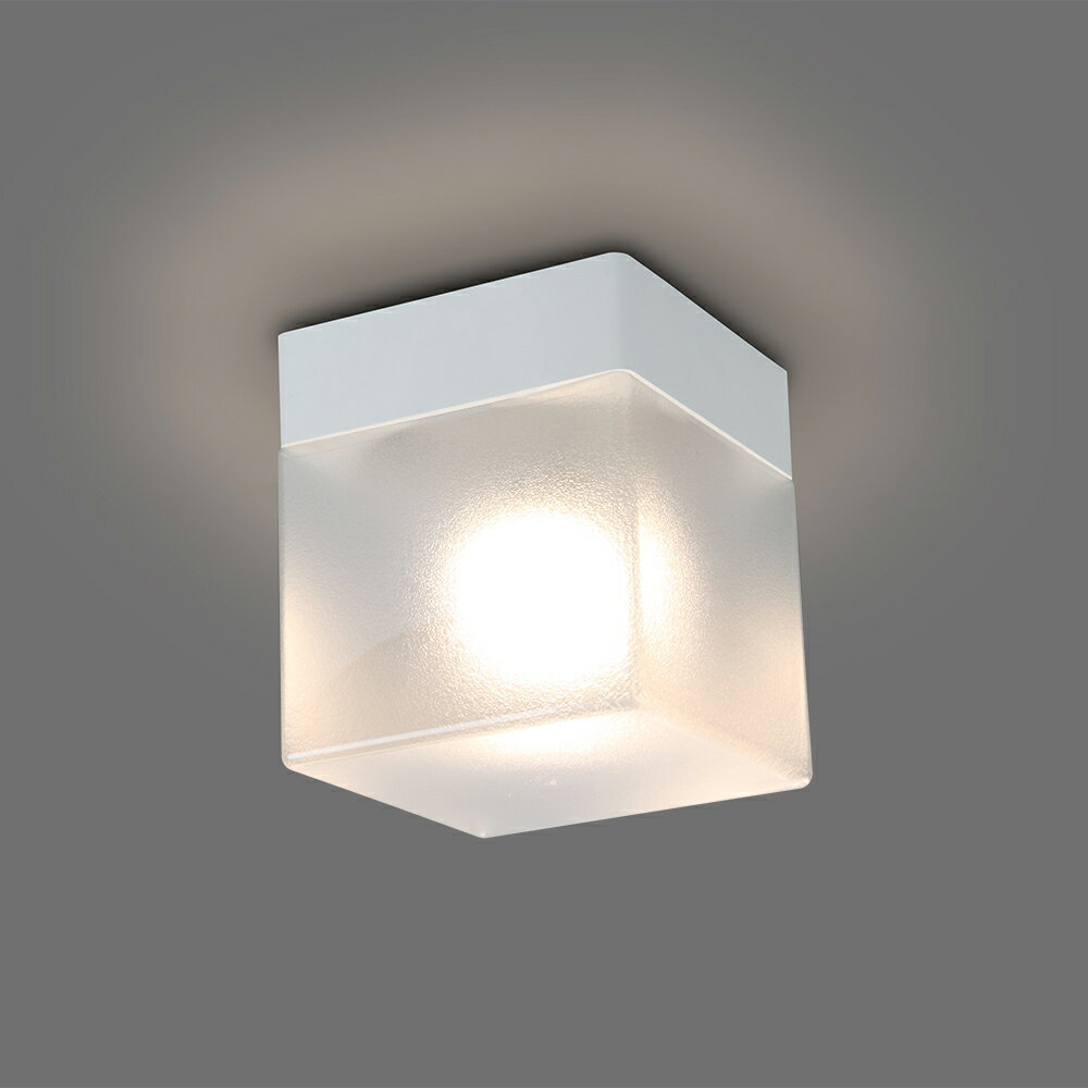 ホタルクス LEDバスルームライト 天付・壁付兼用 電源端子台付 防雨・防湿型 2700K 電球色 小形電球40W×1灯相当 XM-LE17111-XL