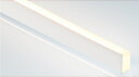 TES LIGHTING フレキシブル照明 屋外屋内兼用Qoonela T(屋外屋内兼用クーネラティー) TQTDシリーズ コードタイプ 全長5002mm 6500K 昼光色 両側コードタイプ TQTD-5002-65-D ※受注生産品(3)