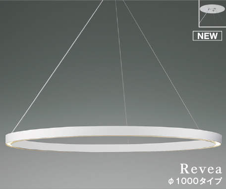 KOIZUMILEDڥȡסǮŵ100W3ʥաˡ򿧡3500KĴбAP54254