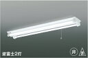KOIZUMI LED非常・誘導灯 Hf32W高出力×2灯相当 (ランプ付) 昼白色 5000K AR45787L1