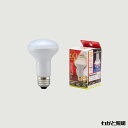 オーム電機 LED電球 レフランプ形 屋内専用 電球色 6．2W 一般電球60形相当（60W形） 全光束682lm 配光角度約150° R62 E26口金 LDR6L-W A9 (06-0771) ≪あす楽対応商品≫