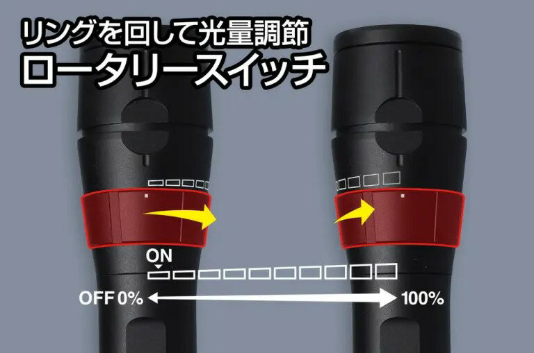 サンプル画像2