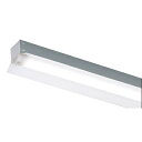 東芝 LEDベースライト TENQOO 防湿・防雨形 直付形 40タイプ 反射笠 一般タイプ4,000lmタイプ FLR40×2灯省電力タイプ 電球色(3000K) LEDバー付 LEKTW415404L-LS9(LEET41504W+LEEM40404LWPLS9) ※受注生産品