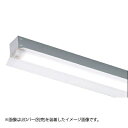 東芝 LEDベースライト TENQOO 器具本体 防湿・防雨形 直付形 40タイプ 反射笠 (LEDバー別売り) LEET-41504W