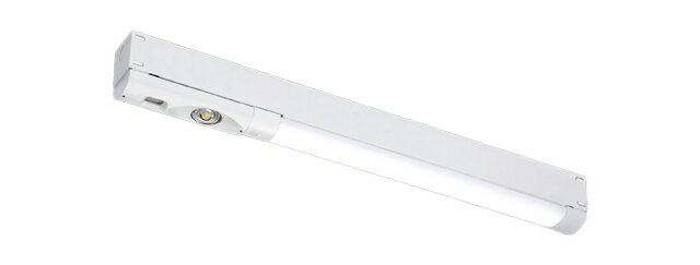 東芝　LEDベースライト　非常用照明器具　防湿・防雨併用形非常灯　非常時高出力　直付形　20タイプ　W70　1600lmタイプ　FL20×2器具相当　昼白色　LEDバー付き　LEKTSW207164N-LS9(LEETS20704W+LESM20164NWPLS9) ※受注生産品