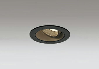ODELICLED̿˥С饤ȡJR12V50W֥å16롡ꦵ75mmŵ忧2500K M...