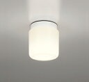 バスルームライトのギフト ODELIC　バスルームライト（浴室灯）　電球色　R15高演色LED　LEDランプ付き　OW269004LR