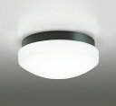 ODELIC バスルームライト(浴室灯) 昼白色 R15高演色LED LEDランプ付き OW269016NR