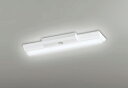 ODELIC LED非常用照明器具 階段通路誘導灯兼用型 直付 逆富士型 温白色 FL20W×2灯相当 高演色 LEDユニット付き XR506001R3D