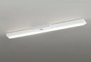 ODELIC LED非常用照明器具 階段通路誘導灯兼用型 直付 逆富士型 電球色 FLR40W相当 高演色 LEDユニット付き XR506002R1E