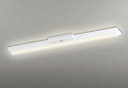 ODELIC LED非常用照明器具 階段通路誘導灯兼用型 直付 逆富士型 電球色 Hf32W高出力相当 高演色 LEDユニット付き XR506002R5E