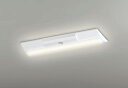 ODELIC LED非常用照明器具 階段通路誘導灯兼用型 直付 逆富士型 電球色 Hf16W高出力×2灯相当 高演色 LEDユニット付き XR506004R4E