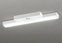 ODELIC LED非常用照明器具 階段通路誘導灯兼用型 直付 トラフ型 白色 FL20W×2灯相当 高演色 LEDユニット付き XR506007R3C