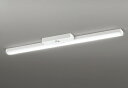 ODELIC LED非常用照明器具 階段通路誘導灯兼用型 直付 トラフ型 昼光色 FLR40W相当 高演色 LEDユニット付き XR506008R1A