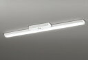 ODELIC LED非常用照明器具 階段通路誘導灯兼用型 直付 トラフ型 昼白色 FLR40W相当 高演色 LEDユニット付き XR506008R1B