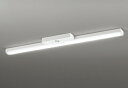 ODELIC LED非常用照明器具 階段通路誘導灯兼用型 直付 トラフ型 白色 FLR40W相当 高演色 LEDユニット付き XR506008R1C