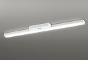 ODELIC LED非常用照明器具 階段通路誘導灯兼用型 直付 トラフ型 温白色 FLR40W相当 高演色 LEDユニット付き XR506008R1D