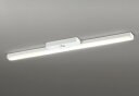 ODELIC LED非常用照明器具 階段通路誘導灯兼用型 直付 トラフ型 電球色 FLR40W相当 高演色 LEDユニット付き XR506008R1E