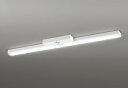 ODELIC LED非常用照明器具 階段通路誘導灯兼用型 直付 トラフ型 昼光色 FLR40W×2灯相当 高演色 LEDユニット付き XR506008R2A