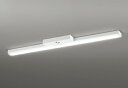 ODELIC LED非常用照明器具 階段通路誘導灯兼用型 直付 トラフ型 昼白色 FLR40W×2灯相当 高演色 LEDユニット付き XR506008R2B