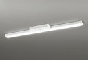 ODELIC LED非常用照明器具 階段通路誘導灯兼用型 直付 トラフ型 白色 FLR40W×2灯相当 高演色 LEDユニット付き XR506008R2C