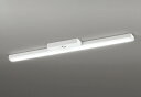 ODELIC LED非常用照明器具 階段通路誘導灯兼用型 直付 トラフ型 温白色 FLR40W×2灯相当 高演色 LEDユニット付き XR506008R2D