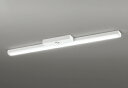 ODELIC LED非常用照明器具 階段通路誘導灯兼用型 直付 トラフ型 昼光色 Hf32W高出力相当 高演色 LEDユニット付き XR506008R5A