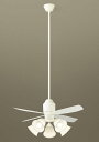 パナソニック シーリングファン 天井吊下型 直付ボルト取付専用 DCモータータイプ 〜14畳 電球色 100形電球5灯器具相当(ランプ付) 風量4段切替 リモコ...