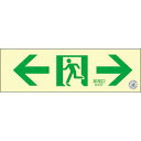 日本緑十字社 中輝度蓄光避難誘導ステッカー標識 ←非常口→ TSN903 100×300 消防認定品 068013