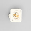 アメリカン電機 2P 15A 125V 引掛形フランジインレット(ナイロンケース) 2115N