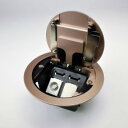 TERADA フロアコンセント テラコン プラグ収納コンセント LCRプレート器具(TV中継×1/シャンパンゴールド) LCR10020M020