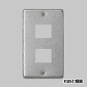 パナソニック フルカラー配線器具 ステンレスプレート 標準プレート 1連用 2コ用 WN7602K