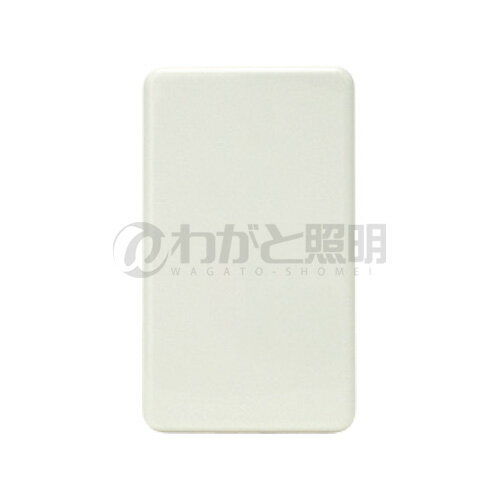 神保電器 ニューマイルドビーシリーズ エレガンスカセットプレート 1連用 ブランク用 ピュアホワイト 6541 PW