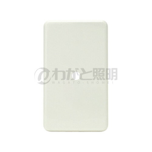 神保電器 ニューマイルドビーシリーズ エレガンスカセットプレート 1連用 ノズル用φ9 ピュアホワイト 6541-T PW