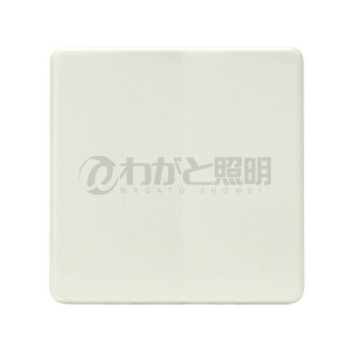 神保電器 ニューマイルドビーシリーズ エレガンスカセットプレート 2連用 ブランク用 ピュアホワイト 6542 PW