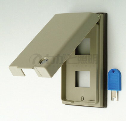 神保電器 防雨形配線器具 防滴プレート キー付き 2個用 樹脂製 BPN-2UWKY