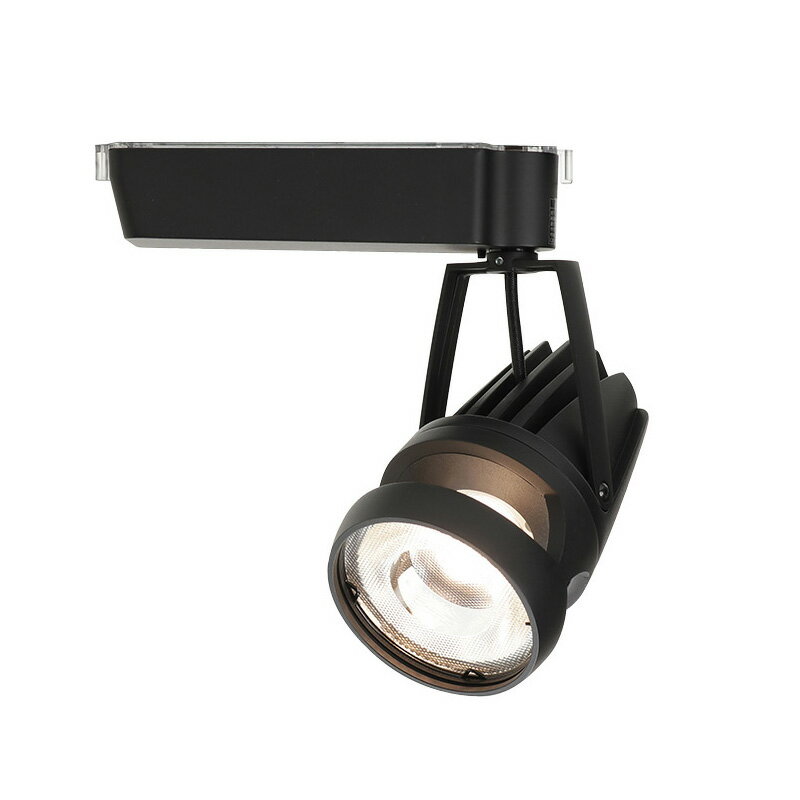 OKAMURA　配線ダクトレール用　LEDスポットライト　食品専用照明　スーパー鮮度くん高演色＋高効率タイプ　遮光型　20Wクラス　温白色（3500K）　ワイド配光（30°）　本体色：黒（ブラック）　LED一体型　OSSD-4S/RHN25(30°) 1