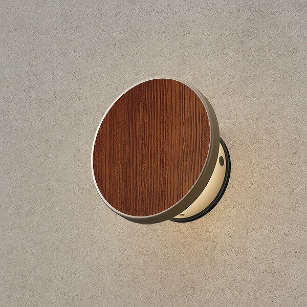 タカショー　エバーアートウォールライト　ローボルト　12V/24V　3型　レッドウッド　光源色:電球色　..