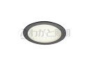 DNライティング LEDダウンライト アルディラシリーズ D-EX15 H 什器用薄型ダウンライト100V仕様 高演色 調光 器具色:ブラック ビーム角:50° 埋込穴φ60mm 5.0W 370lm 5000K D-EX151BCH ※受注生産品(3)