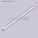 プリンス LED棚照明器具 ディーライン 冷ケース用照明 対面ショーケース用照明 Cシリーズ Dタイプ Tタイプ(透明丸型) 全長2368mm 演色LED 素適くんNRM 精肉・鮮魚用 CT2368NRM/24D ※受注生産品(3)