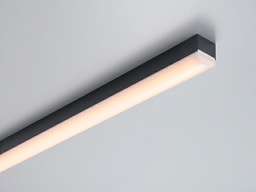 DNライティング　TRIM LINE　LED照明器具　間接照明　TRH D-FPL　調光兼用型　ドーム型カバー　全長1000mm　本体色:黒色(ブラック)　電球色(2800K)　自然発光型　TRH1000SH27D-BK-FPL ※受注生産品