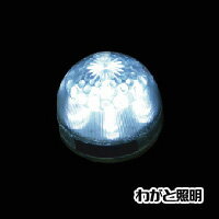 キョーワ LED電球 屋外用LEDサイン球 彩光球 カラー 白色（ホワイト） E26口金 【単品】 3159-E26-W